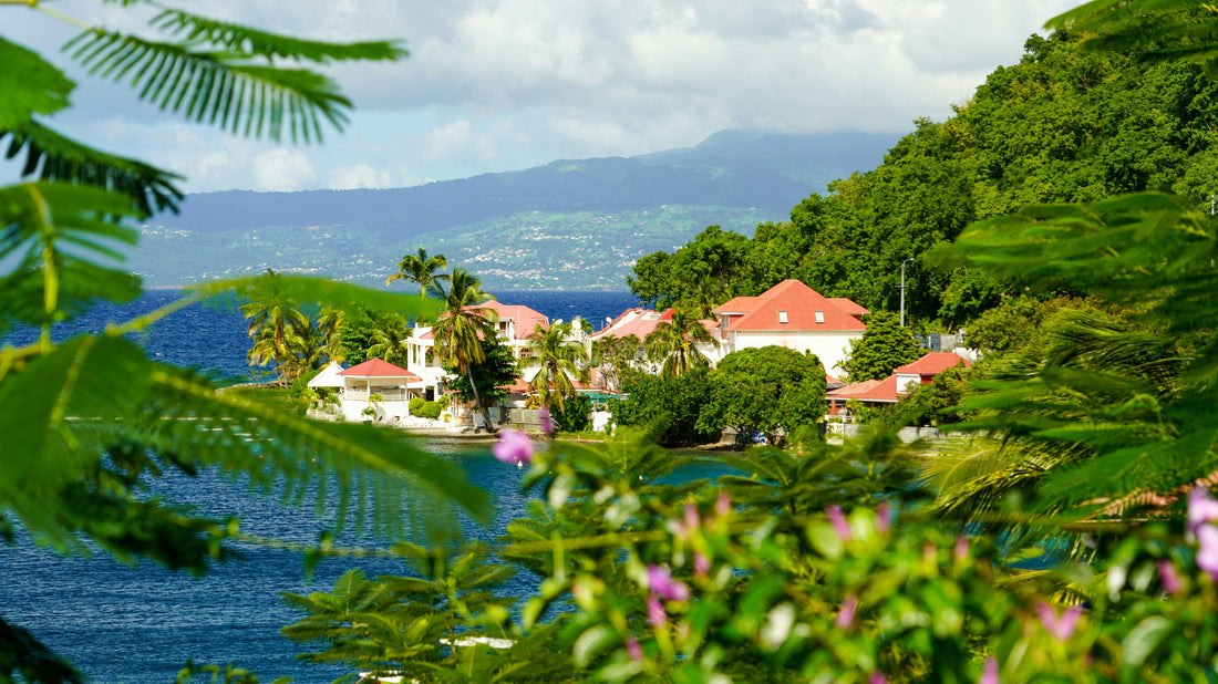 Moving to Guadeloupe with family: life on France's Caribbean archipelago