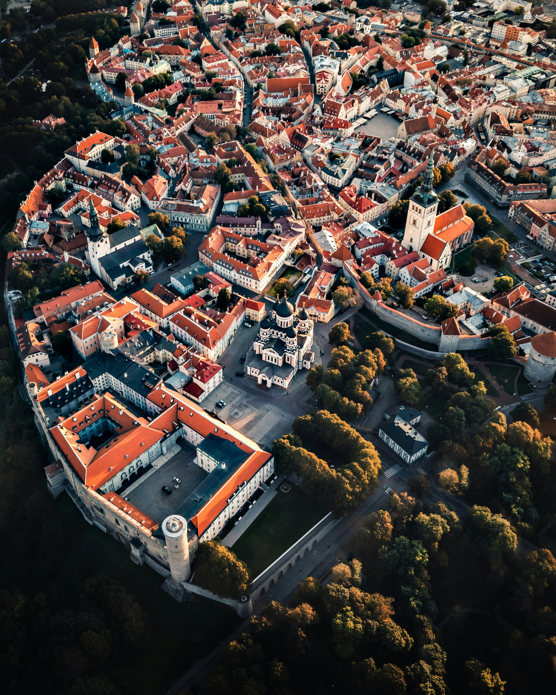 The Invisible Nordics: Estonia, the Baltics, and the Family Move Hiding Beside Scandinavia
