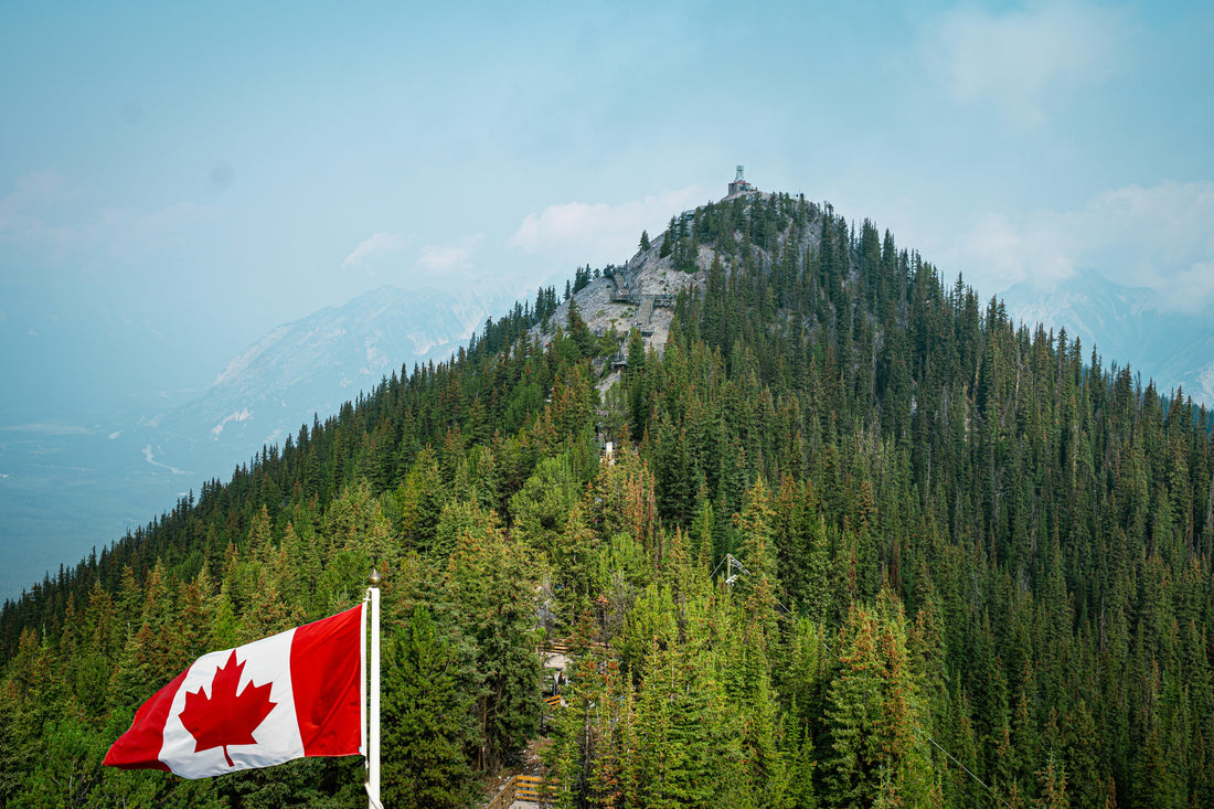 Canadian mountains and forest with Canadian flag — moving to Canada with family