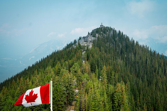 Canadian mountains and forest with Canadian flag — moving to Canada with family