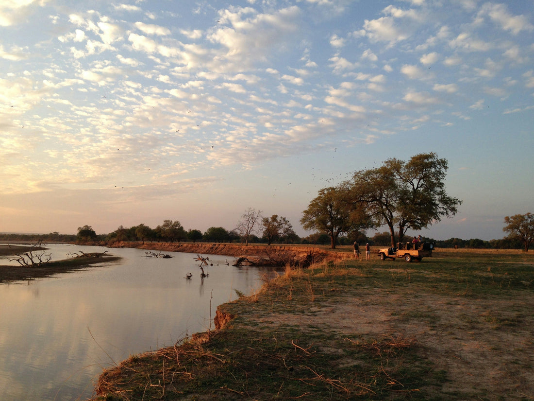 Moving to Zambia with Family: An Honest Insider's Guide to the Country Nobody Talks About